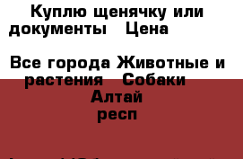 Куплю щенячку или документы › Цена ­ 3 000 - Все города Животные и растения » Собаки   . Алтай респ.